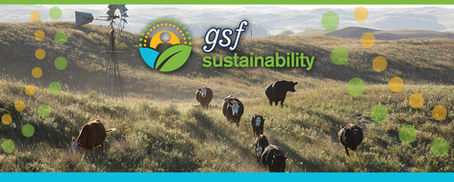 Building a More Resilient Beef Value Chain: GSF Supports Landmark Grasslands Initiative and Broader Sustainability Efforts