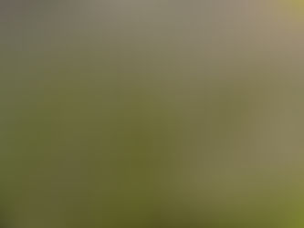 Démoussage de toiture par drone : la solution moderne, sûre et économique