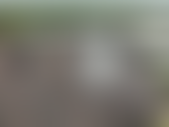 Innovations en nettoyage par drone : Quelles surfaces peuvent être traitées par démoussage aérien ?