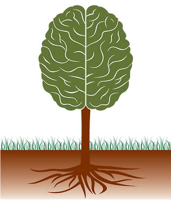 Brain Tree