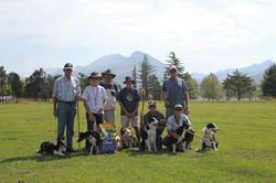 kokstad winners polofield