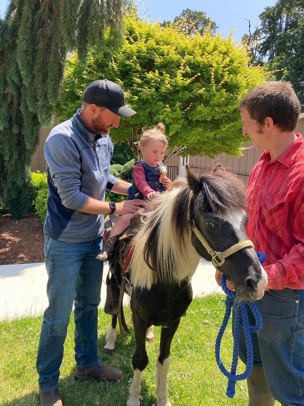 Ponies are fun