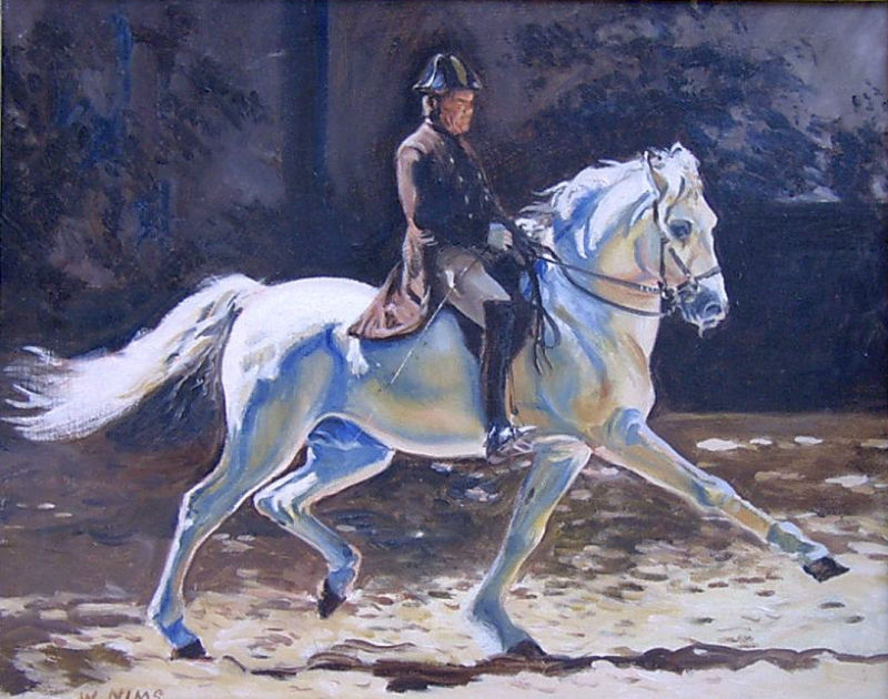 Vienese Horse