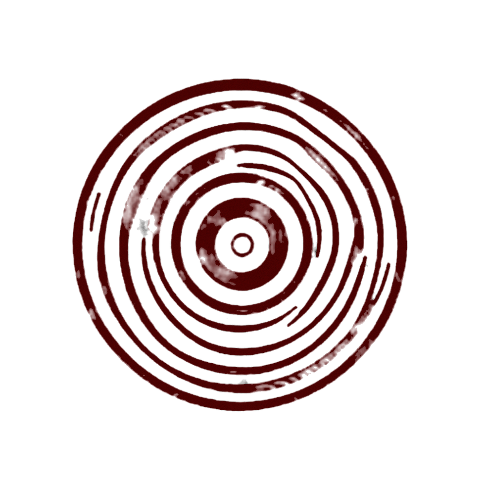 discography icon logo_edited_edited.png