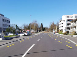 Walisellerstrasse