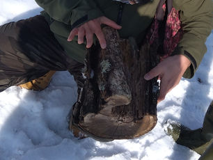 子ども向けプログラム「冬の回」終了