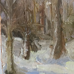Winter Woods