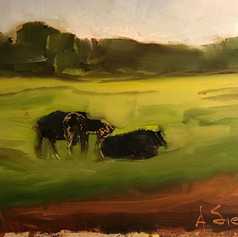 Angus Pasture 8 x 10