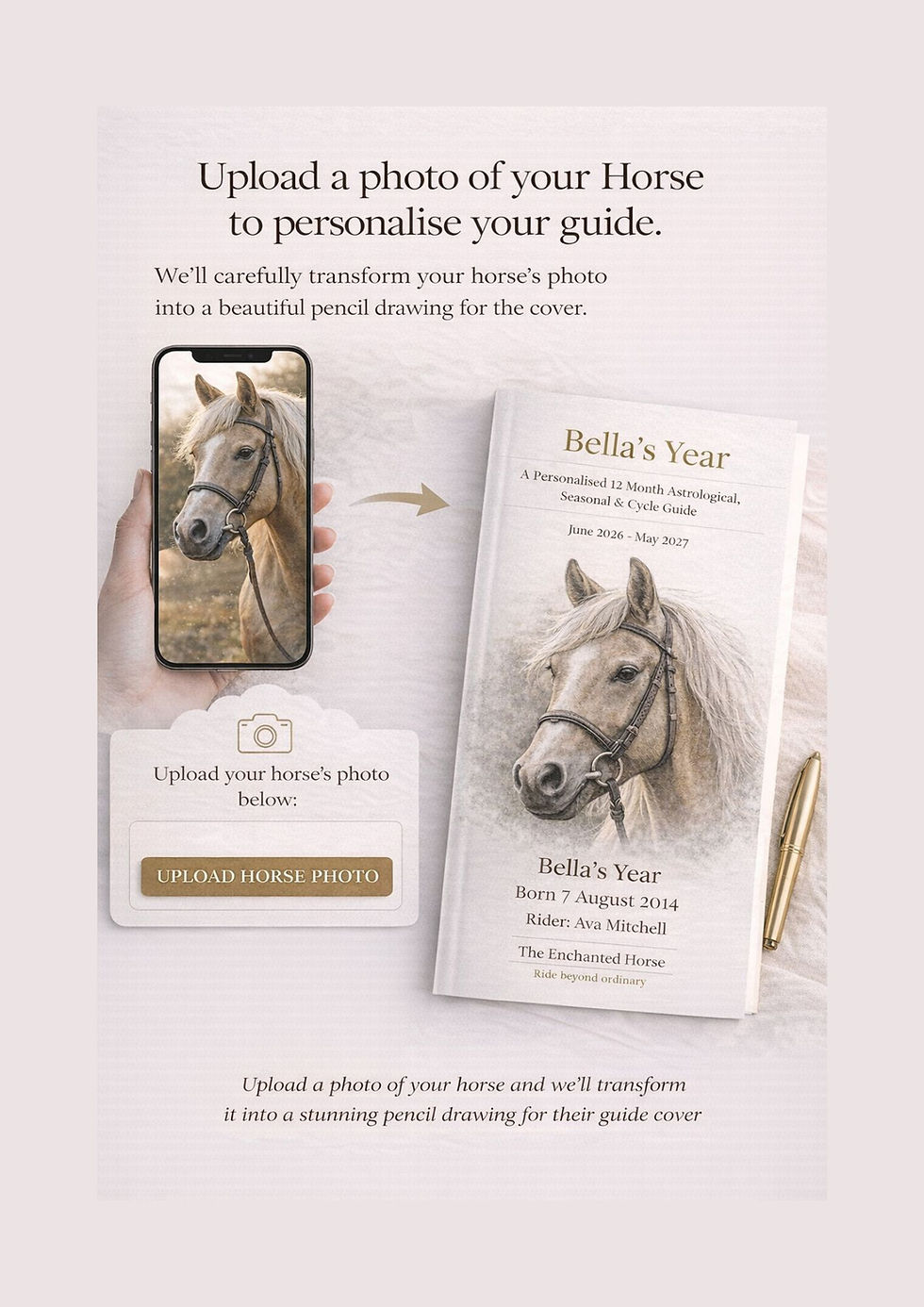 Thumbnail: The Complete Horse-Rider Partnership System