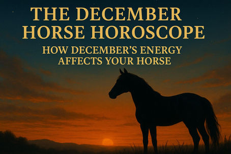 December 2025 Horse Horoscopes In-depth Guide