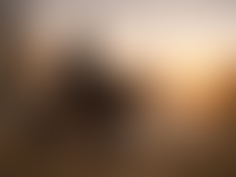 Rider on horseback moving through a quiet landscape, illustrating timing and connection between horse and rider