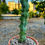Küçük resim: Myrtillocactus Geometrizans Fukurokuryuzinboku - 12 CM Terracotta Saksılı