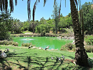 Biblical Zoo in Jerusalem