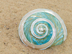 Sacred Geometry - Living in an Intelligent Universe