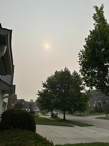 Picture of the smog outside my door