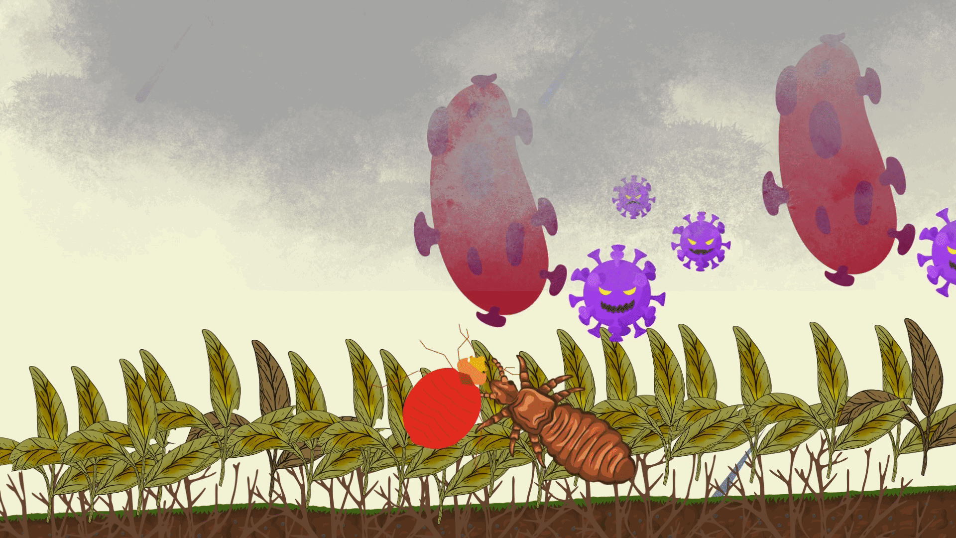 新增標題 (2).gif