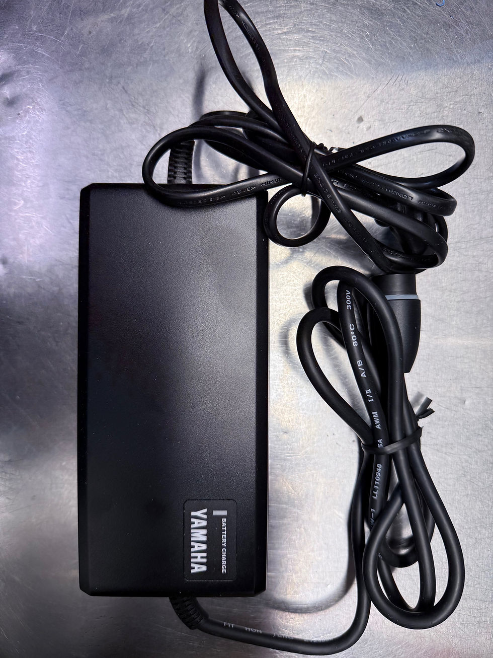 Miniatura: CARICA BATTERIE YAMAHA - Connettore Raymon|Haibike