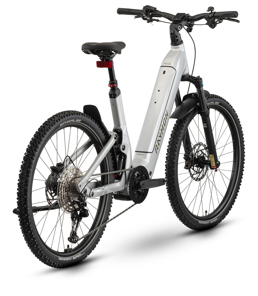 Miniatura: RAYMON TAVANO SPORT WAVE | Taglia S e M | Bosch CX 100nm | 800Wh