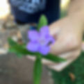 fullsizeoutput_2c96.jpeg