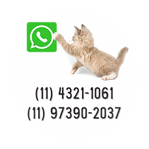 Design sem nome (2).png