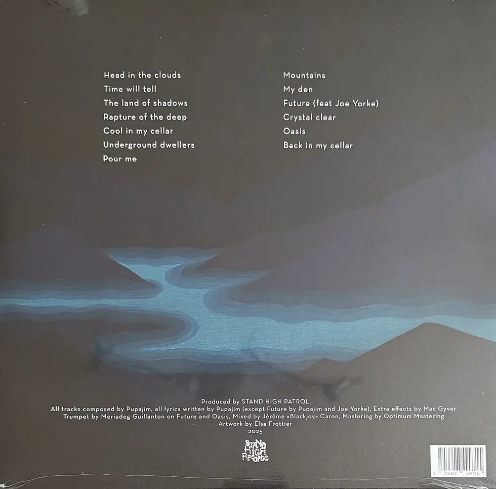 Disque vinyle de Stand High Patrol - Underground Oasis | Vinyles & Vintage