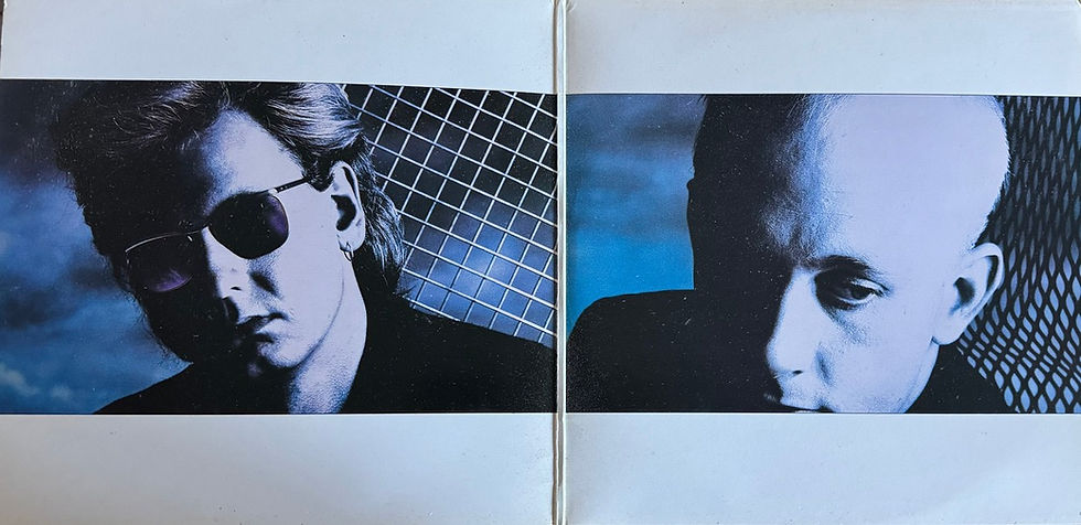 Miniature : Disque vinyle de Dead Or Alive - Mad, Bad And Dangerous To Know en vente sur Vinyles And Vintage