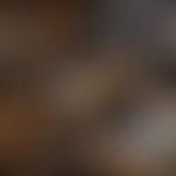 Les albums courts versus albums longs : quelle évolution dans l’écoute moderne ?