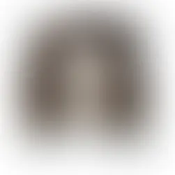 Pomme : une artiste sincère et générationnelle