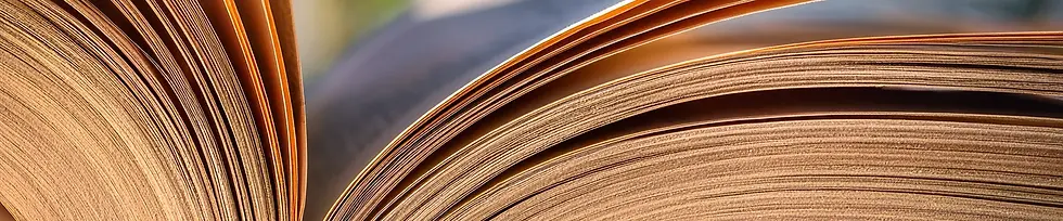 vinyles-and-vintage-disquaire-en-ligne-bandeau-boutique-en-ligne-close-up-livres.webp