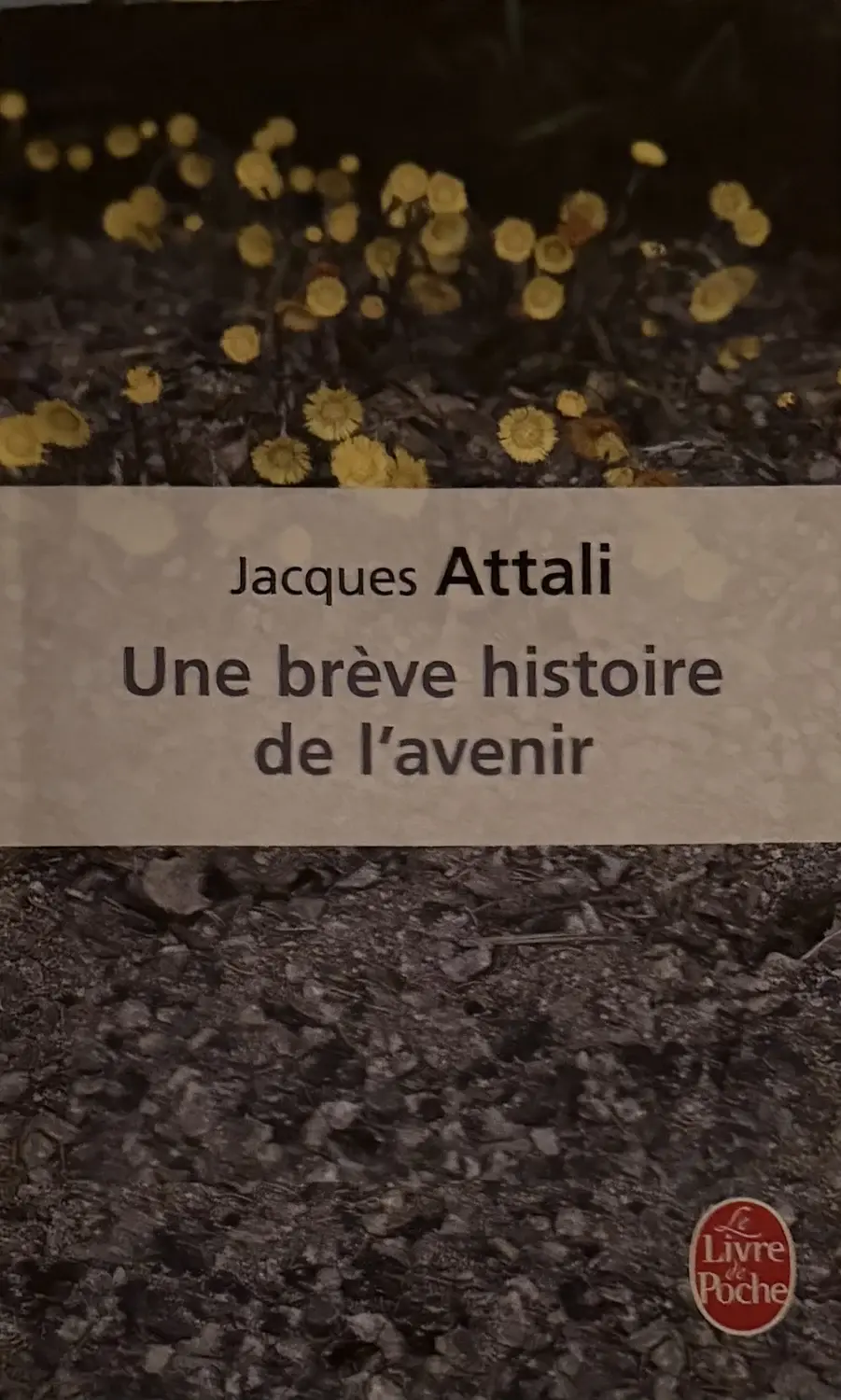 Livre de Jacques Attali - Une brève histoire de l’avenir | Vinyles & Vintage