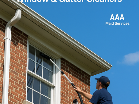 graphic says "The Dirt You Can't Ignore: Why Wayne Homeowners Trust Professional Window and Gutter Cleaners"