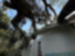 temple terrace2