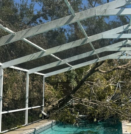 Deck Near Mature Trees