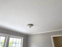 Ceiling Repair