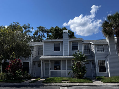trees in the subdivision