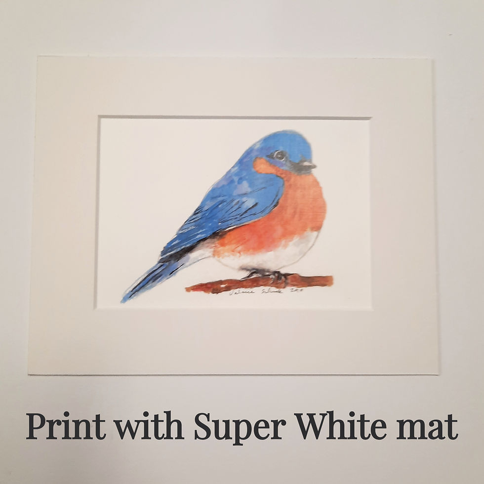 Thumbnail: Mountain Bluebird Print