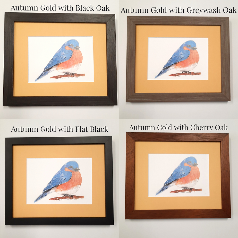 Thumbnail: Mountain Bluebird Print