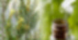 Australian Tea Tree oil, Used for medicinal and remedial In Aboriginal and Torres Strait Islander Communities and now used throughout the world