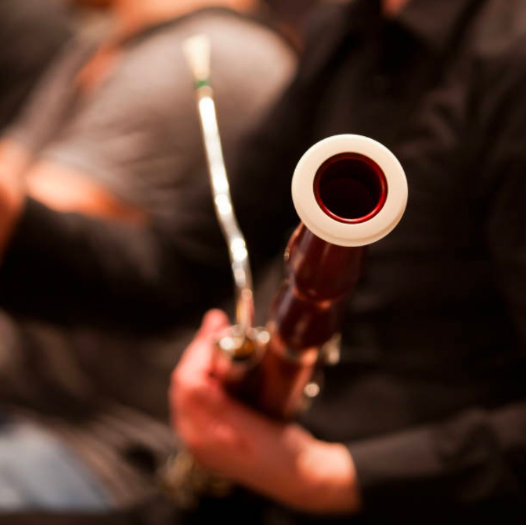 bassoon holding top.png