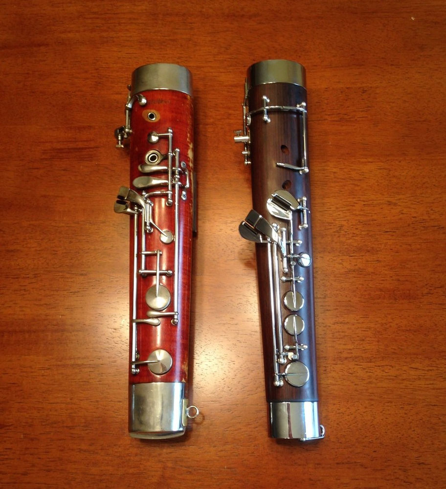 Evolution of the Bassoon