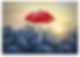 A red umbrella lifted above a sea of black umbrella's to signify unique minds of Gifted 2e