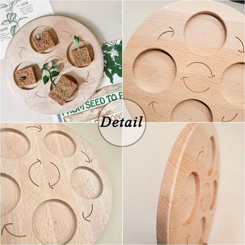 Thumbnail: Animal Life Cycle Board Children Toys Montessori Teaching Aids Plant Animal Grow