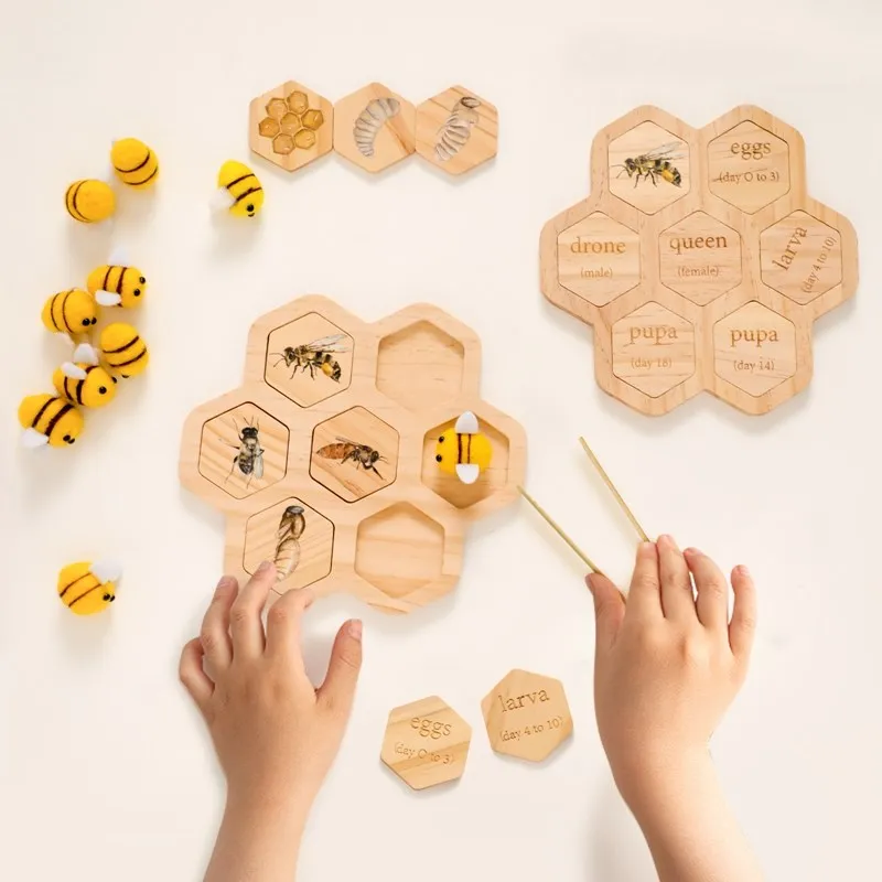 Thumbnail: Baby New Animal Life Cycle Board Montessori Teaching Children Toys Bee Animal Gr