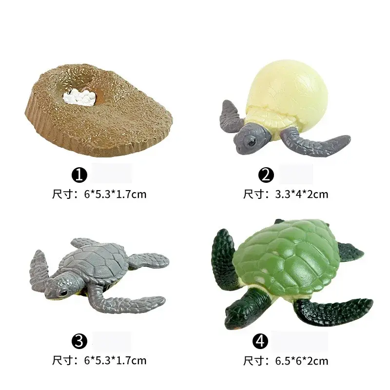 Thumbnail: Animal Life Cycle Board Children Toys Montessori Teaching Aids Plant Animal Grow