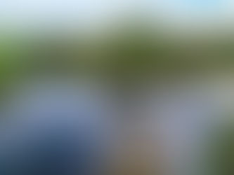 The Japan Times book review: "Japanese Garden Notes"