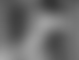 Review: The Japan Times on The Osamu Tezuka Story