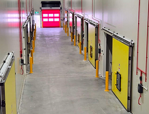 Rockit CA doors