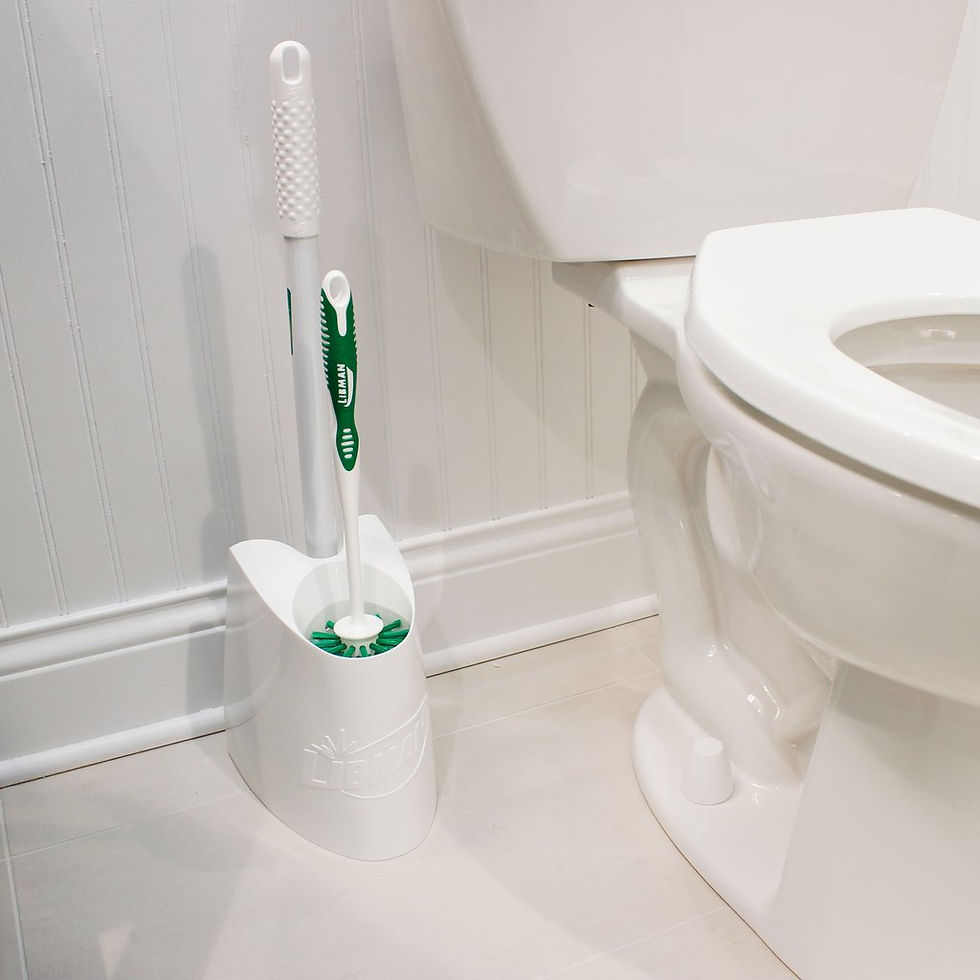 Thumbnail: toilet brush next to toilet