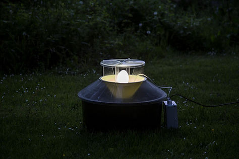 Moth-Trap_IMG_8463-©Mike-Bolam-Large-1440x960.jpeg