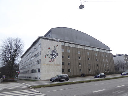 Zoologisk_Museum_03.jpeg